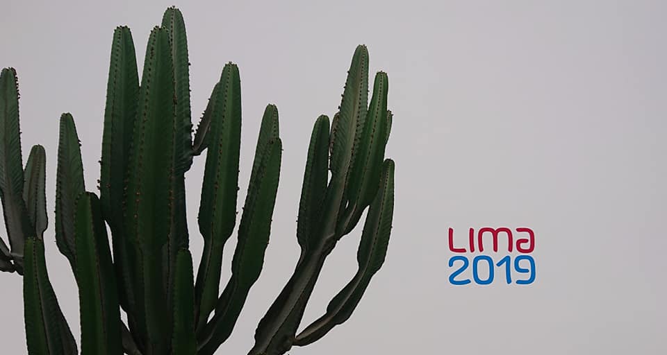 Case Study: Pan-Am Games, Lima 2019